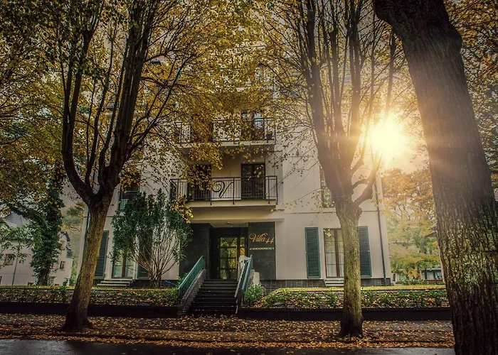 44 -v44- * Свиноуйсьце