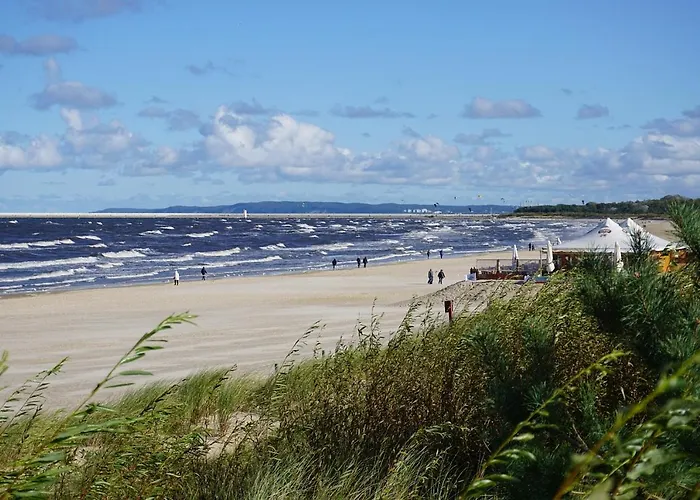 44 -v44- * Свиноуйсьце